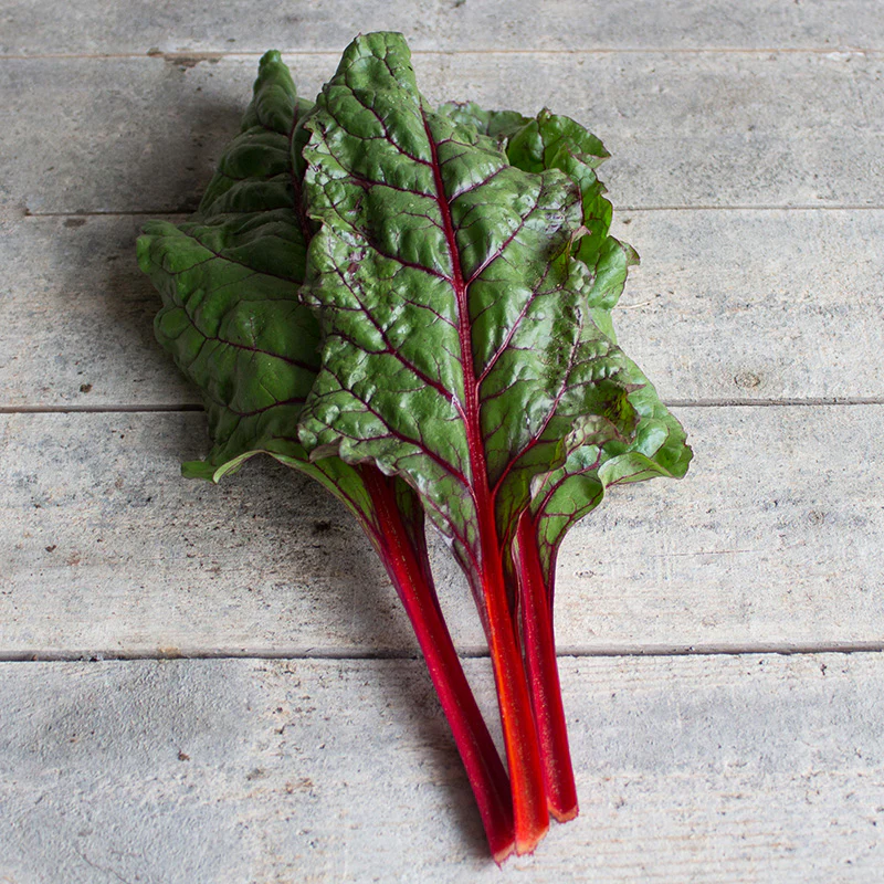 Snijbiet - Rhubarb Chard