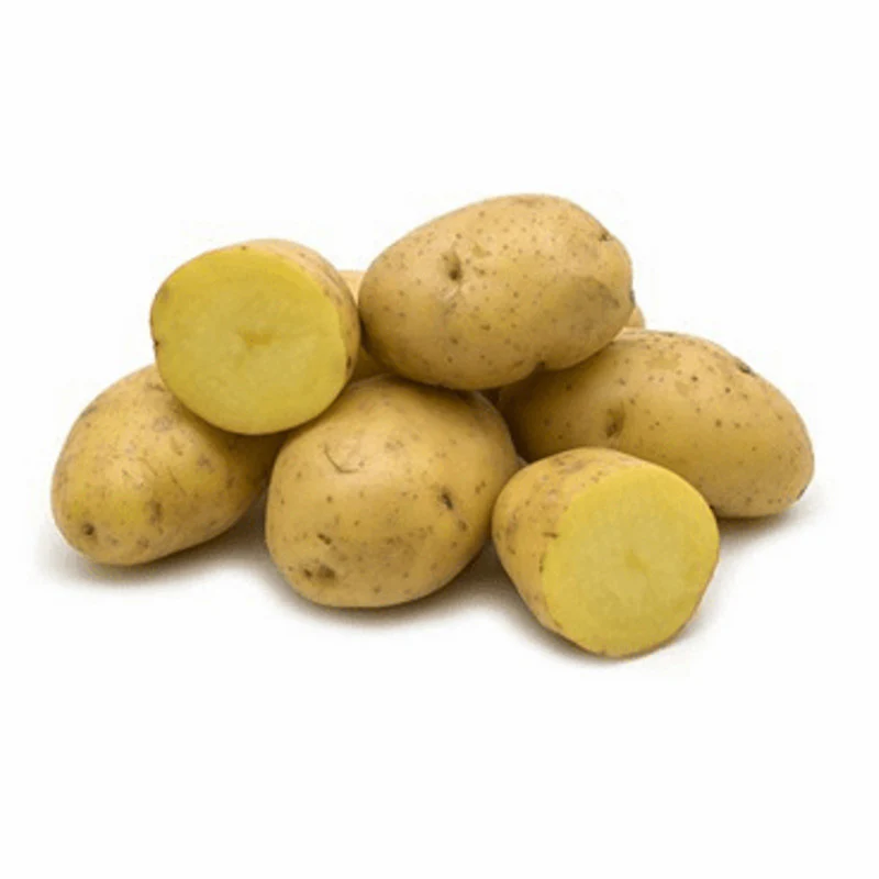 Pootaardappelen - Frieslander - Image 2