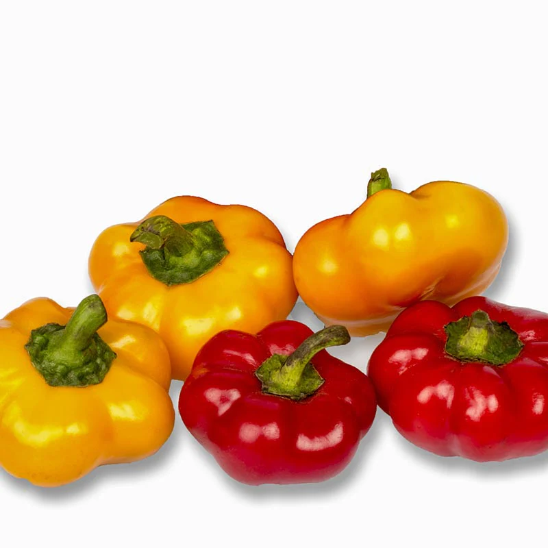 Miniatuur 1