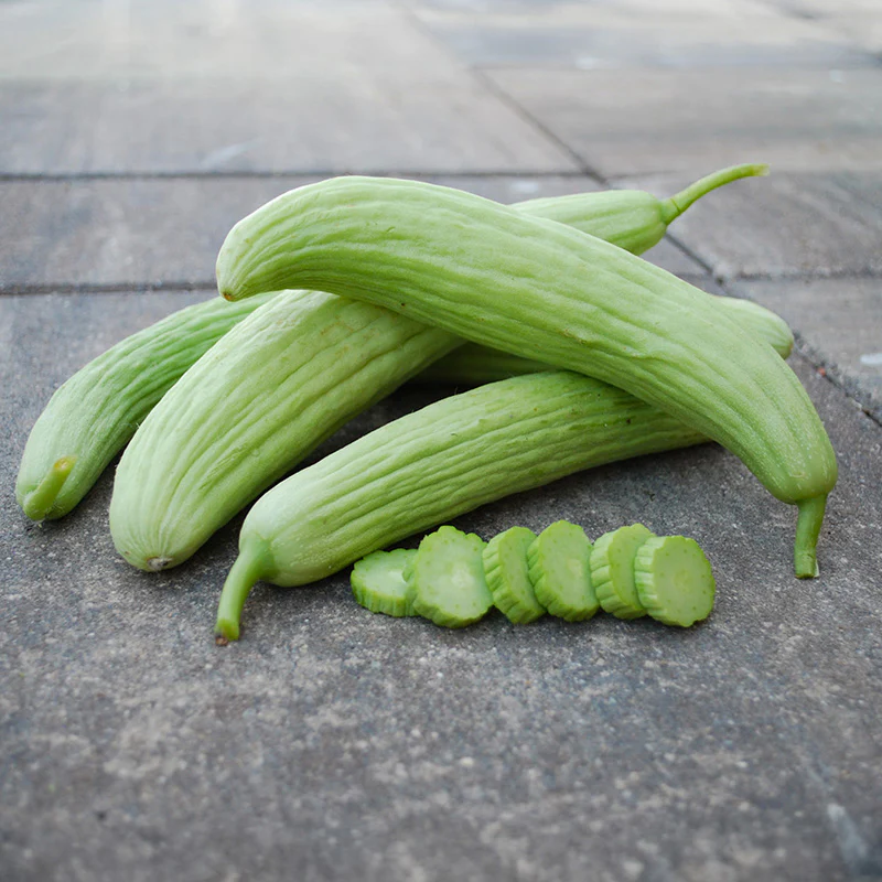 Armeense komkommer - Armenian Pale Green