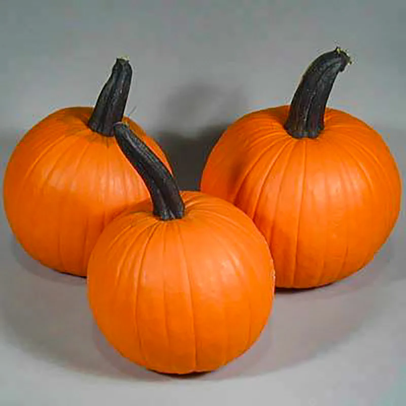 Halloweenpompoen - Neon F1 - Image 2
