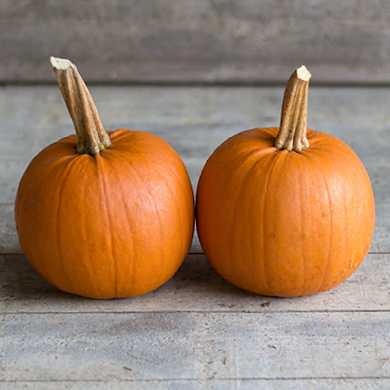 Halloweenpompoen - Pik-A-Pie F1