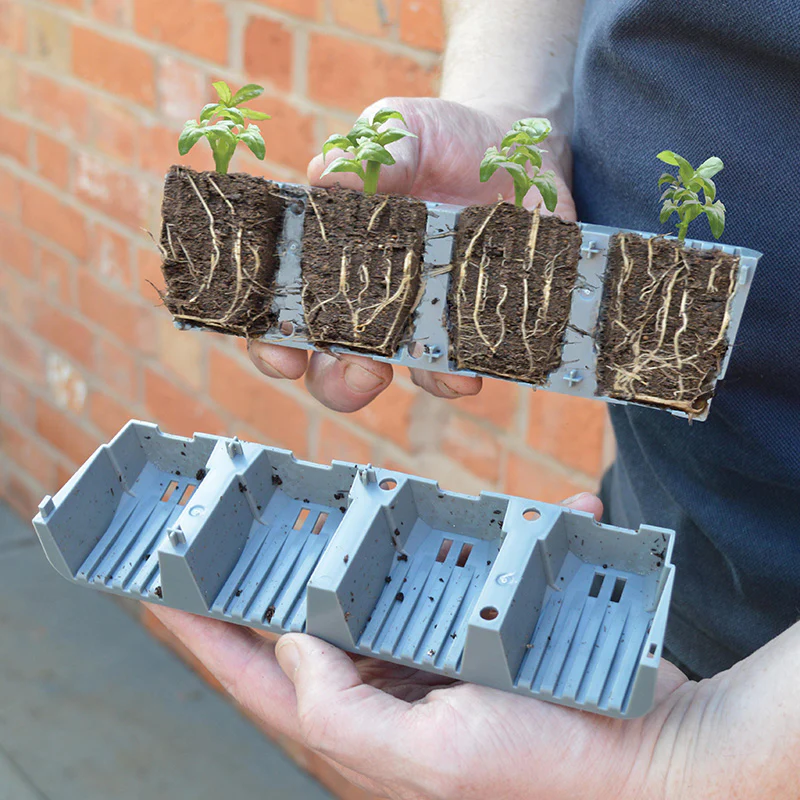 Fast Root Split cel 24 - Garland Products - Image 2