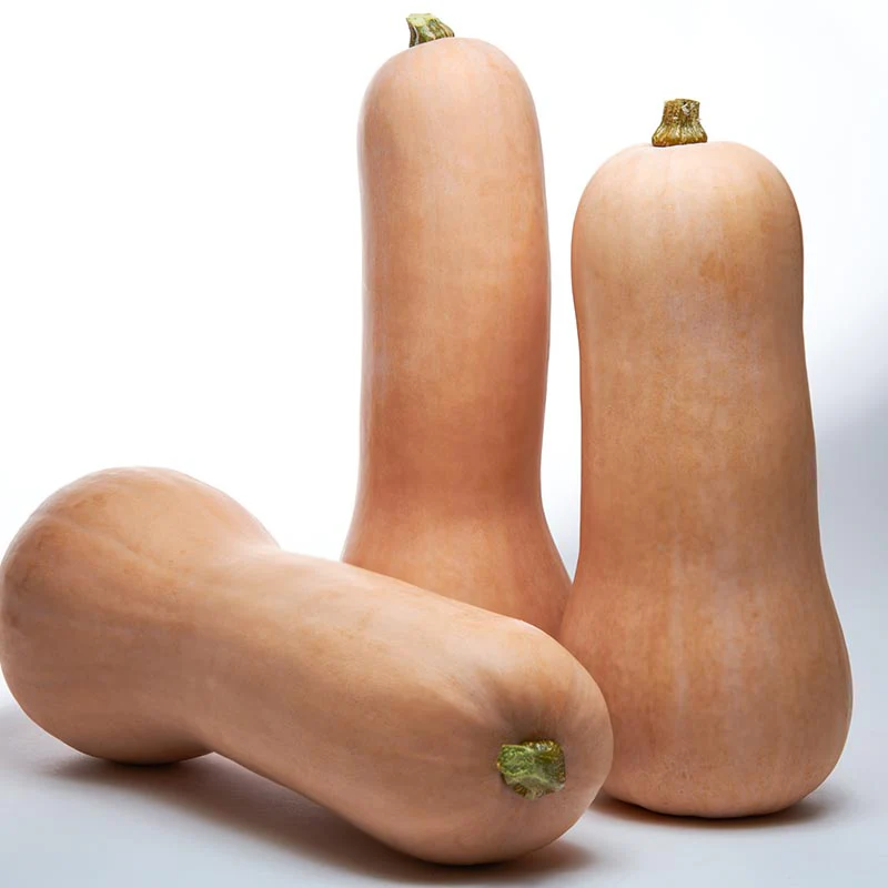 Flespompoen - Titan F1