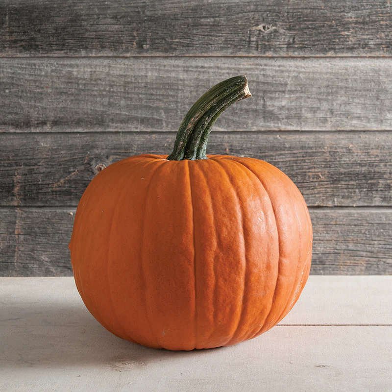 Halloweenpompoen - Racer F1