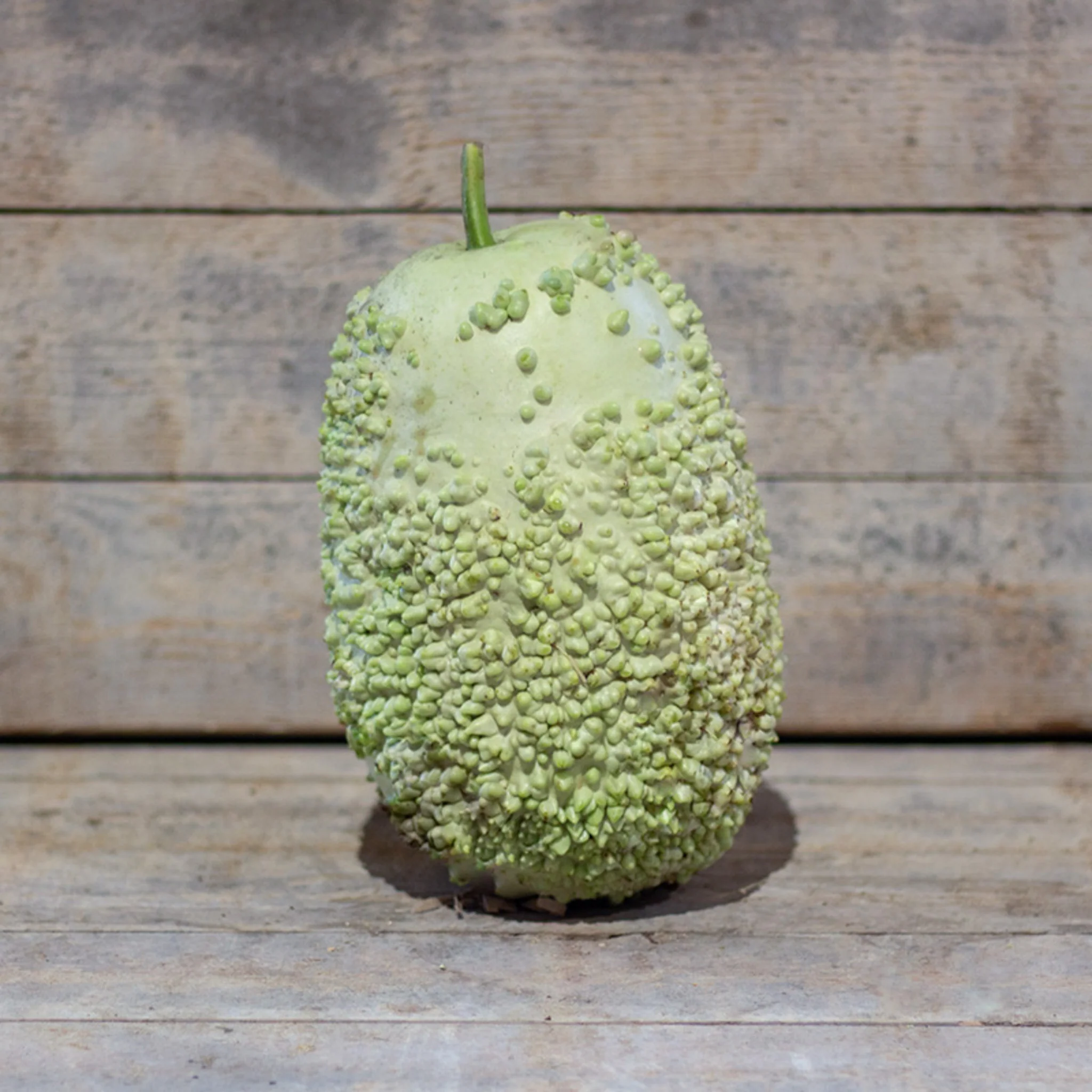 Miniatuur 2