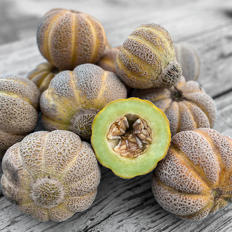 Miniatuur 1