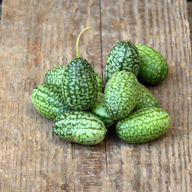 Miniatuur 2