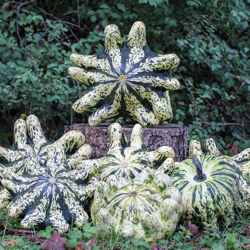 Miniatuur 1