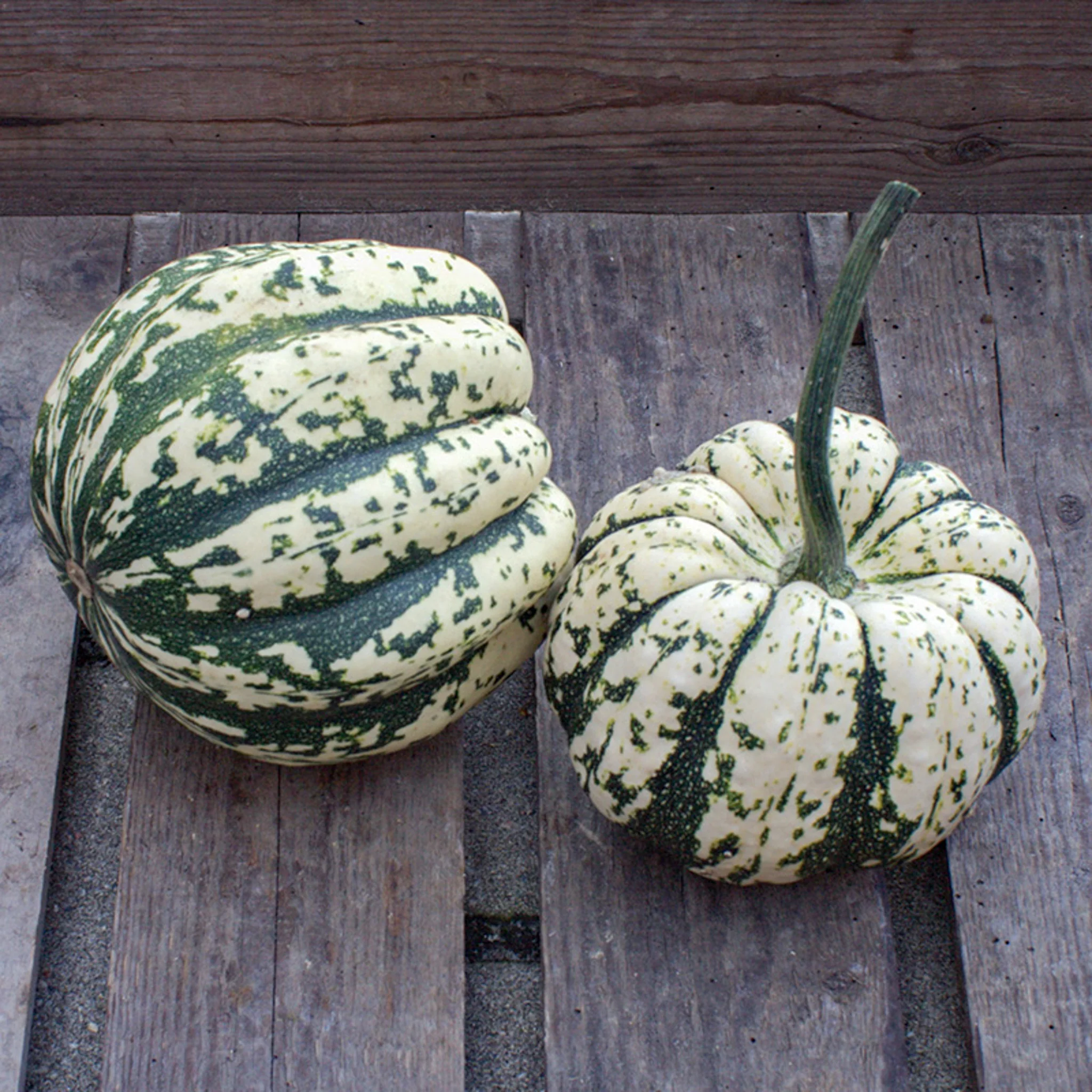 Miniatuur 1