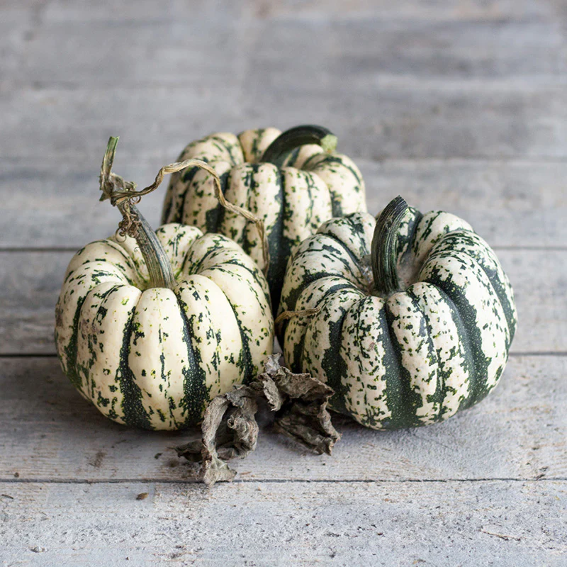 Delicata - Sweet Dumpling
