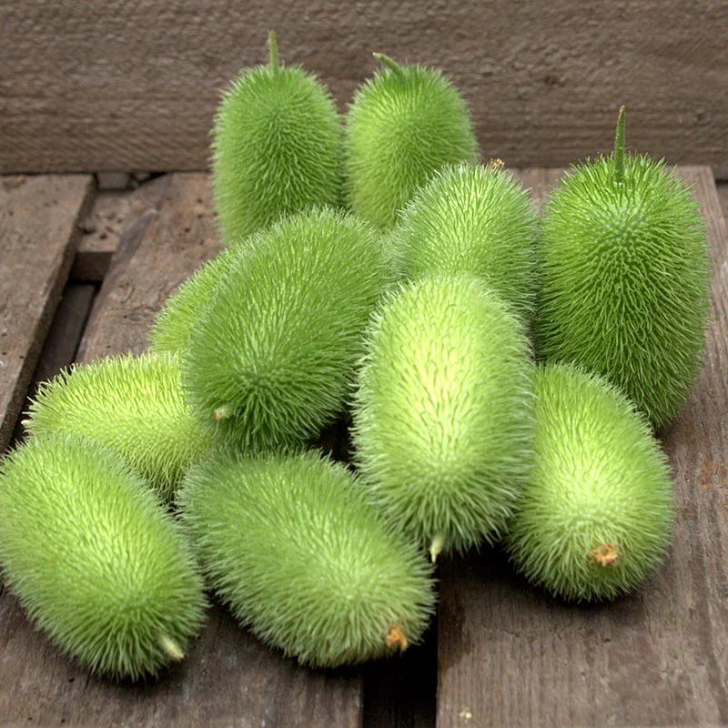 Miniatuur 1