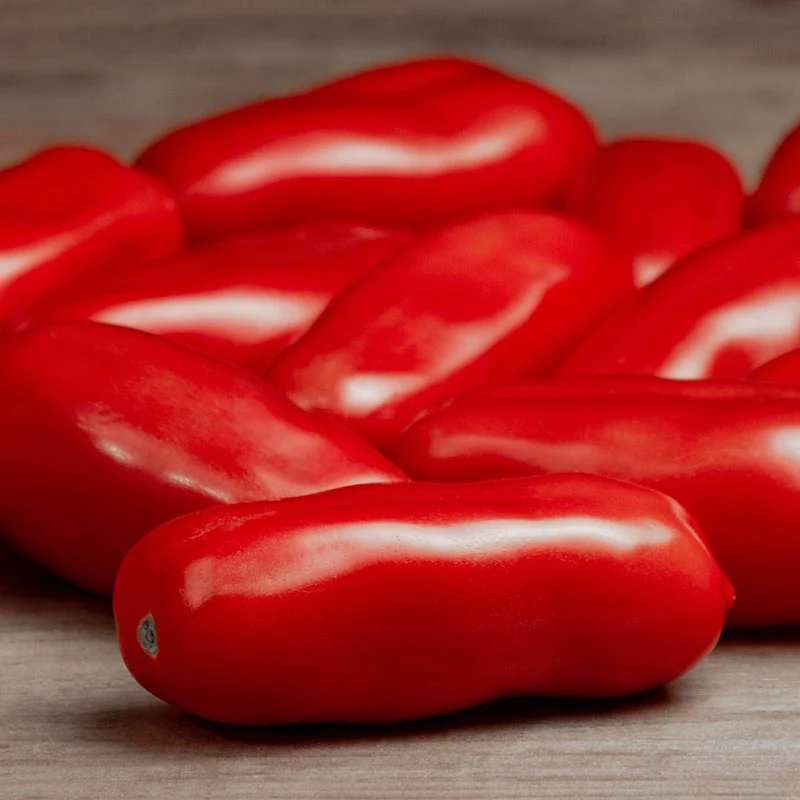 Romatomaat - San Marzano