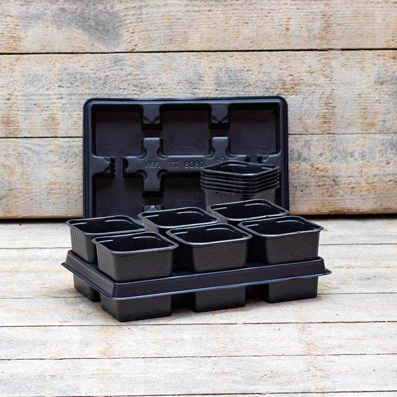 Miniatuur 1