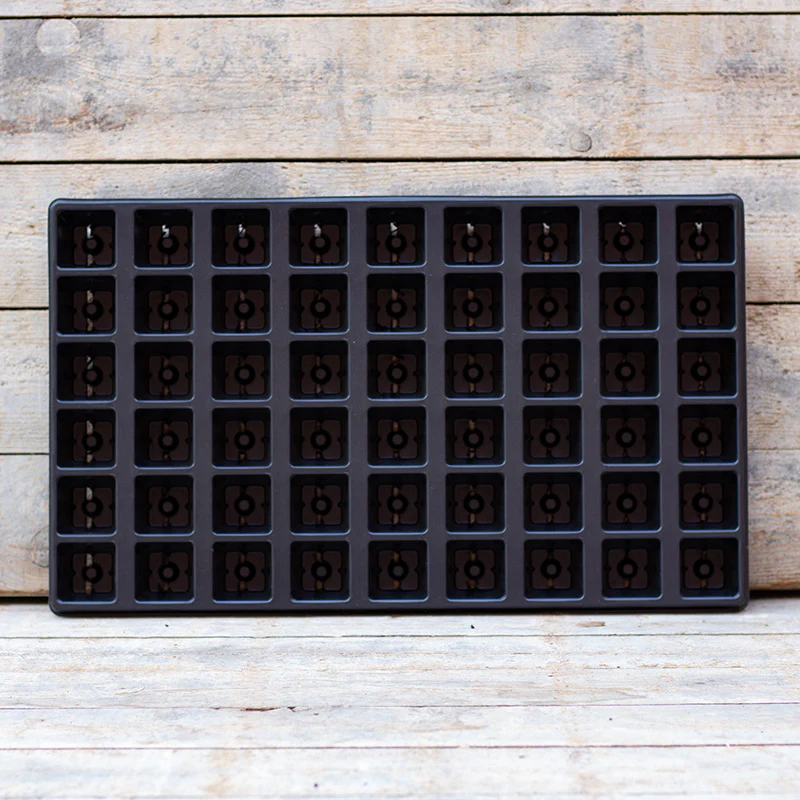 Miniatuur 2