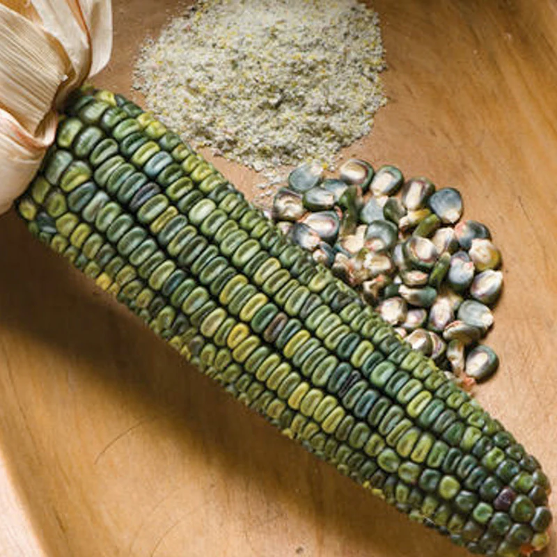 Siermais - Oaxacan Green - Image 2